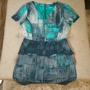 Tahari dress. Never worn.